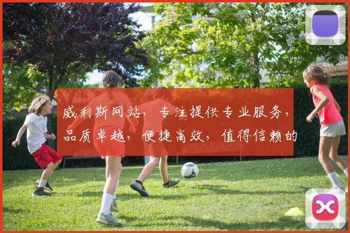 威利斯网站，专注提供专业服务，品质卓越，便捷高效，值得信赖的互联网平台。