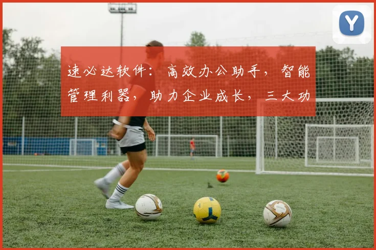 速必达软件：高效办公助手，智能管理利器，助力企业成长，三大功能，一站解决