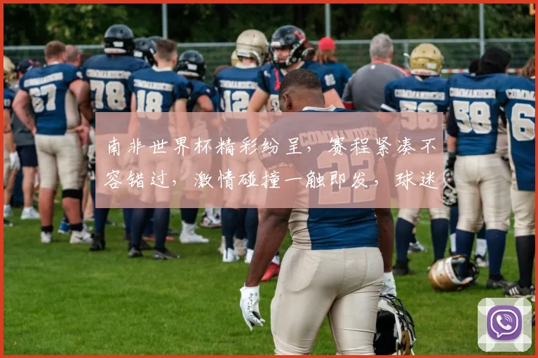 南非世界杯精彩纷呈，赛程紧凑不容错过，激情碰撞一触即发，球迷狂欢盛宴来袭