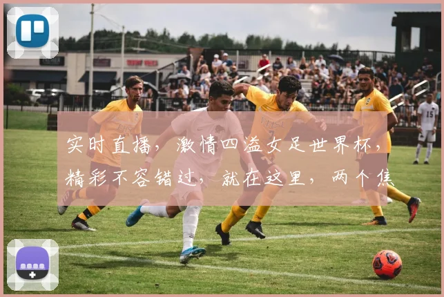 实时直播，激情四溢女足世界杯，精彩不容错过，就在这里，两个焦点，一网打尽