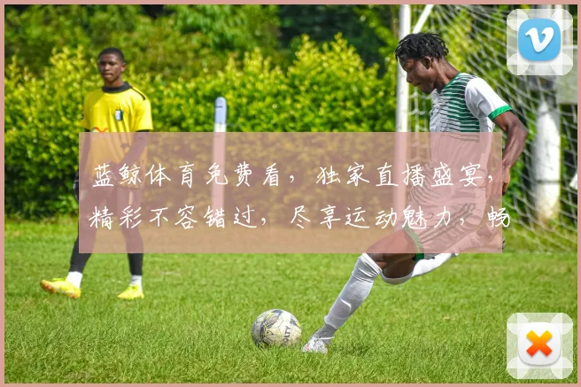 蓝鲸体育免费看，独家直播盛宴，精彩不容错过，尽享运动魅力，畅享无界视野